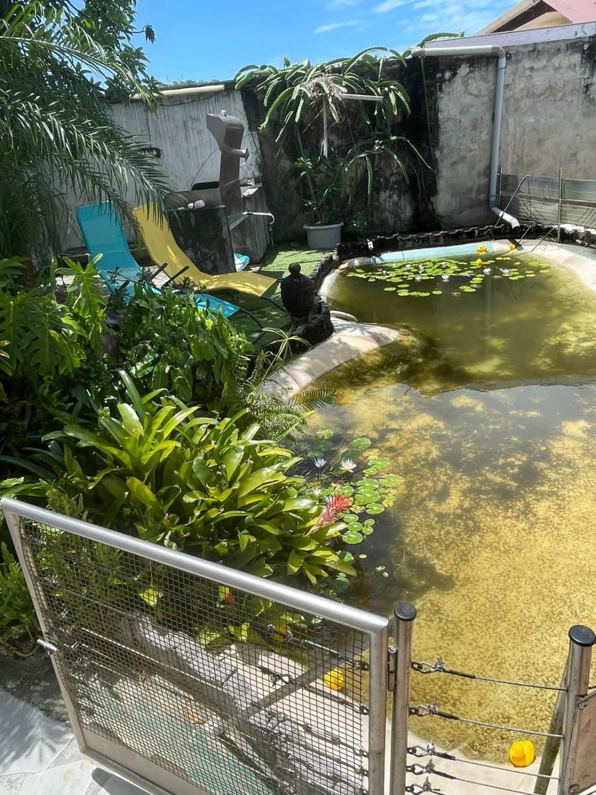 Kasentof Villa Cayenne Bagian luar foto