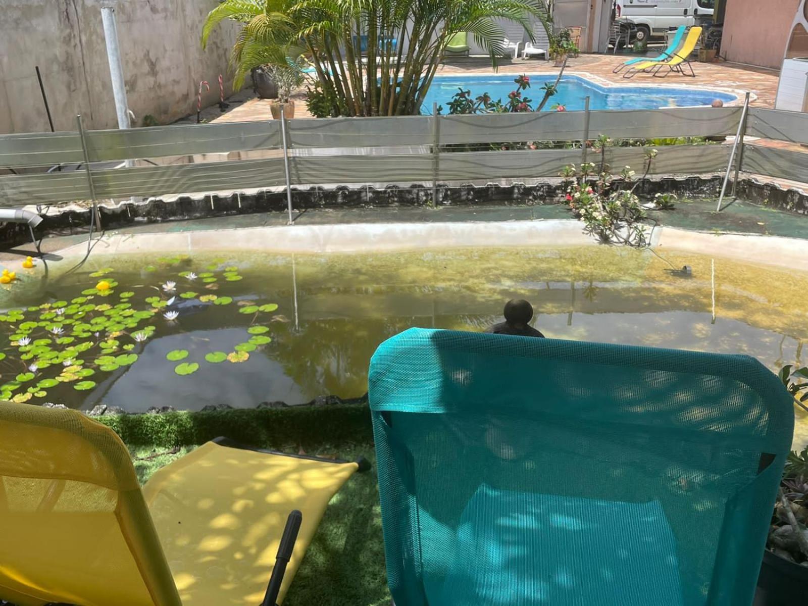 Kasentof Villa Cayenne Bagian luar foto